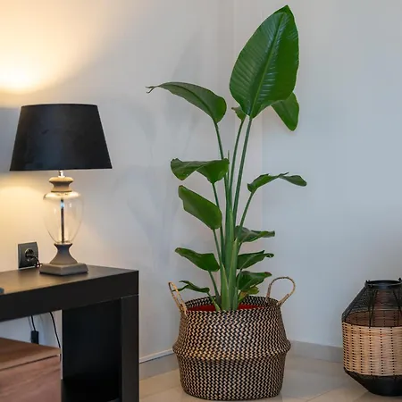 Βίλα Campagna Κέφαλος