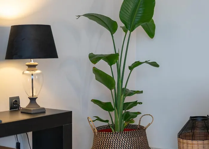 Vila Campagna Kéfalos